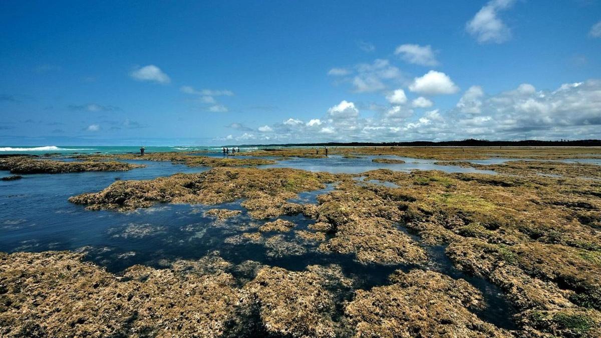 Abaetetuba Pousada São Miguel dos Milagres Esterno foto